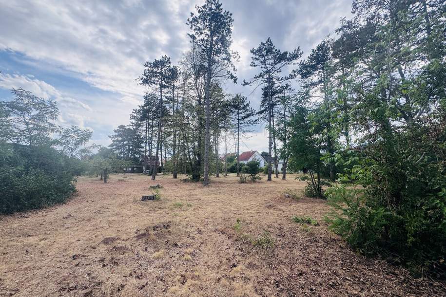 Baugrundstücke mit hervorragendem Preis-Leistungs-Verhältnis – Ideal für Eigenheim oder Investment, Grund und Boden-kauf, 214.000,€, 2230 Gänserndorf