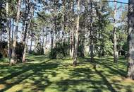 Grosses Grundstück in Gänserndorf Süd Nähe Wien