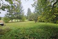 Ihr Rückzugsort im Grünen – Wohnen mit 4.000 m² Gartenidylle - Ein Haus mit Potenzial in Felling