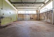 GIGANTISCH gesucht? HIER RICHTIG