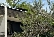 Gepflegte Seewohnung in Ruhelage – Direkter Blick auf den Walschacher See!