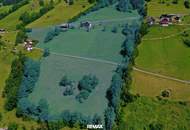 Landwirtschaft mit traumhafter Südhanglage!