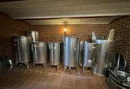 IN SLOWENIEN! Winzerhaus mit Weingarten und Blick bis zum Horizont!