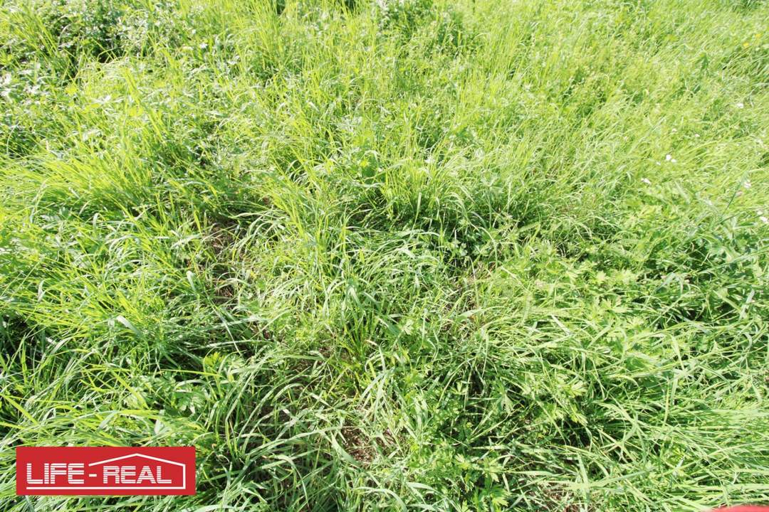 Investitionsmöglichkeit mit Entwicklungspotential - großer Betriebsbaugrund