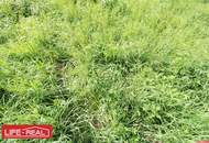 Investitionsmöglichkeit mit Entwicklungspotential - großer Betriebsbaugrund