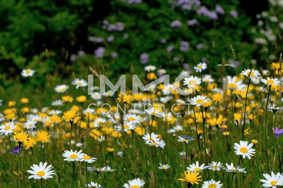 Wohnen im Grünen - 2-Zimmer Gartenwohnung für Anleger provisionsfrei!, Wohnung-kauf, 214.110,€, 4020 Linz(Stadt)