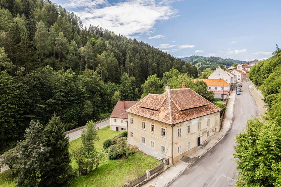 Historisches Geschäftshaus und ehemalige Gerberei am Landtorberg, Haus-kauf, 350.000,€, 8750 Murtal