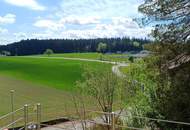 Großzügiges Landhaus mit TOP Garten in Waldrandlage!