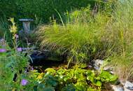 Hier zieh ich ein - Einfamilienhaus mit großem Garten in Kottingbrunn! Ankaufstest vorhanden!