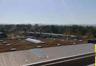 15461 Nähe Traisenpark!