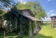 Seltene Gelegenheit: Ebenes Grundstück mit Altbestand &amp; alter Baumkulisse in Toplage!