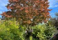 Einfamilienhaus mit Garten nahe Stadtzentrum