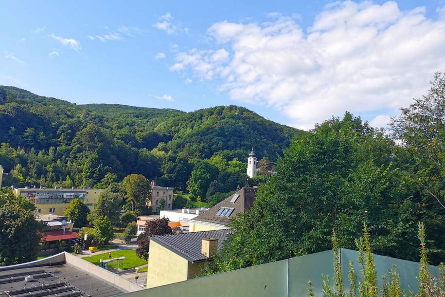 Charmante Maisonette mit großzügiger Terrasse und Grünblick in Kaltenleutgeben, Wohnung-kauf, 479.000,€, 2391 Mödling