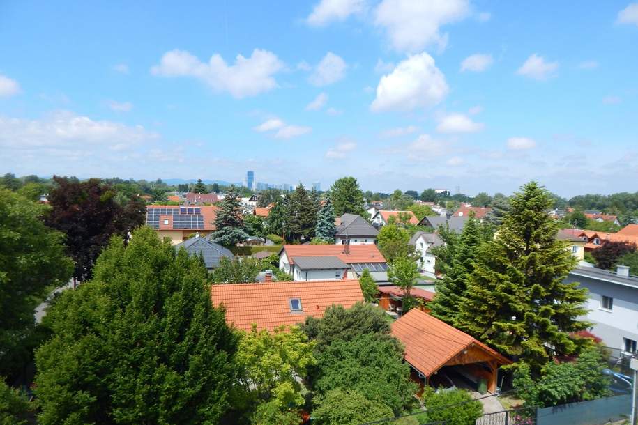 Mit dem Aufzug direkt in die Dachterrassenwohnung mit neuer komplett Küche - Erstbezug nähe Mühlwasser, Wohnung-kauf, 1.190.000,€, 1220 Wien 22., Donaustadt
