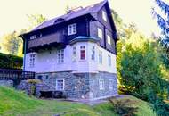 Villa in der Natur von Payerbach/Kreuzberg