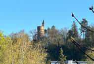 ***OFFENES BIETERVERFAHREN*** STADTVILLA zum Revitalisieren in BESTLAGE (Volksgartenstraße) - direkt an der TRAUN mit Aussicht auf die MARIENWARTE***