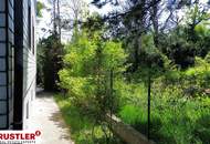 großzügiges Grundstück mit sehr gepflegtem Bestand