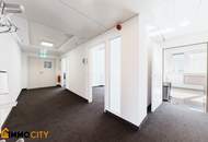 Helles, klimatisiertes Büro mit Blick auf die Karlskirche – ca. 139 m² in begehrter Lage auf der Wieden
