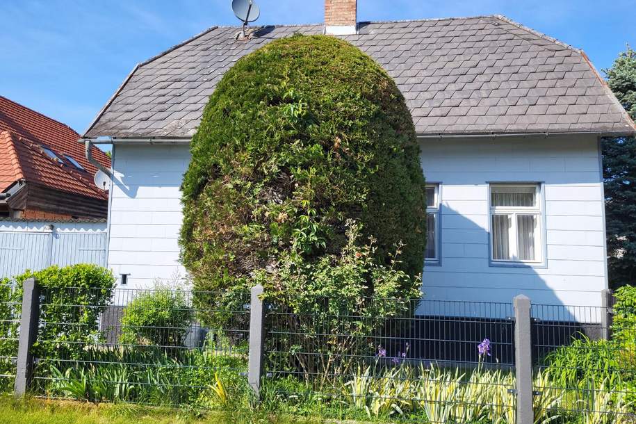 Gemütliches Haus mit zwei Wohneinheiten, Haus-kauf, 299.000,€, 3040 Sankt Pölten(Land)