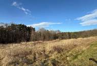 Großes Baugrundstück mit Wald ohne Bauzwang
