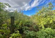 Reiterparadies im Weinviertel – Ihr Traum vom Landleben!