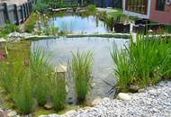 BIETERVERFAHREN-OPENHOUSE AM 02.01.2026 gegen Voranmeldung 900 m² WOHN-NUTZFLÄCHE! WOHN- UND GESCHÄFTSHAUS NAHE WIEN!