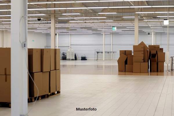 Moderne Gewerbehalle mit 10,5 m Hallenhöhe & 2 Kränen