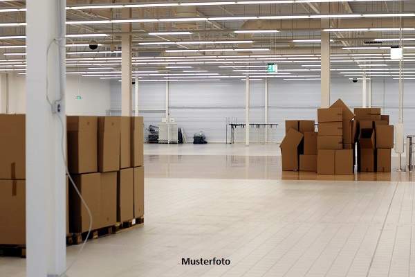 Moderne Gewerbehalle mit 10,5 m Hallenhöhe &amp; 2 Kränen, Gewerbeobjekt-kauf, 1.339.000,€, 9601 Villach Land