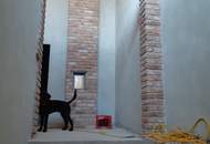 Ihr Traumhaus in Gols: 2.400 m² Baugrund mit 280 m² Rohbau, Terrasse und 10 Stellplätzen!