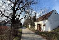 BAUERNHOF MIT MEHREREN GEBÄUDEN - PRESSHAUS &amp; GEWÖLBEKELLERN – SANIERUNGSBEDARF MIT VIEL POTENZIAL