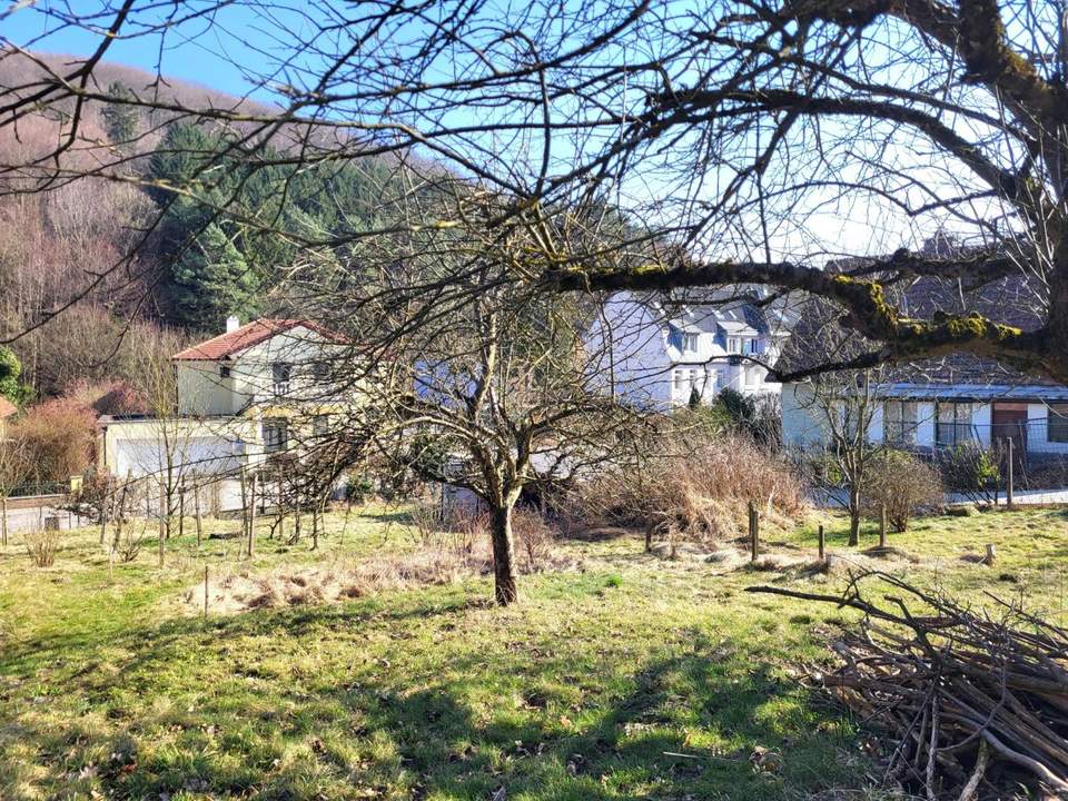 AN DER SONNENSEITE AM WALDRAND!