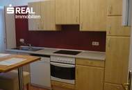 Unbefristete Altbaumiete direkt am Ulrichsplatz