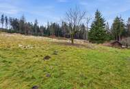 UNBERÜHRTE NATUR &amp; VIELE MÖGLICHKEITEN - IHR PRIVATES HIDEAWAY IN HIRSCHENWIES BEI MOORBAD HAARBACH!