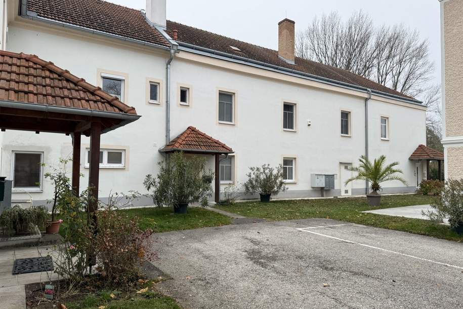 ERSTBEZUG nach RENOVIERUNG + BÜRO + SCHÖNER BLICK in den GARTEN!, Gewerbeobjekt-miete, 1.187,00,€, 2483 Baden