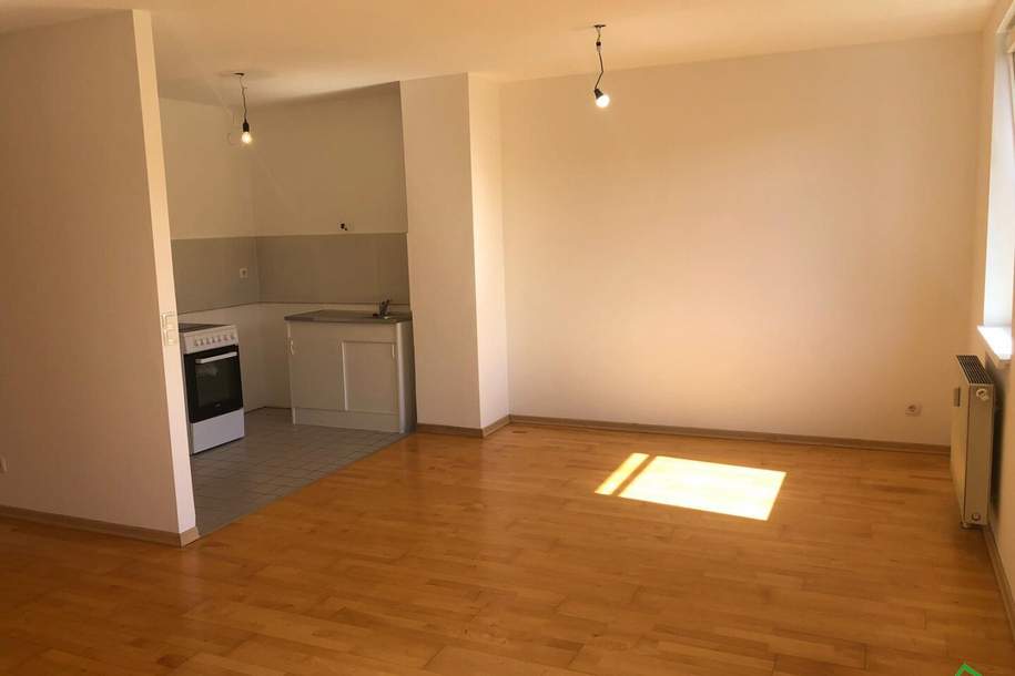 3-ZIMMER-HOFRUHELAGE MIT TERRASSE - SPITZNÄHE!!!, Wohnung-miete, 1.582,38,€, 1210 Wien 21., Floridsdorf