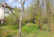 Baugrund am Waldrand