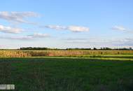 SCHLÜSSELFERTIGES ECKREIHENHAUS - 136 m² - ZIEGELMASSIV - AUF EIGENGRUND - UNVERBAUTER FERNBLICK
