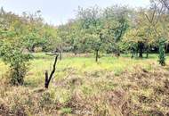 BAUGRUND in den Golser Weinbergen