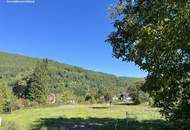 Grünblick in Pettenbach