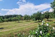 Entzückendes Haus in der grünen Steiermark