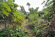 Baugrundstück mit Altbestand