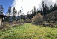 Zweifamilienhaus in Afritz: Naturnah, großflächig, sanierungsbedürftig – Ihr neues Zuhause!