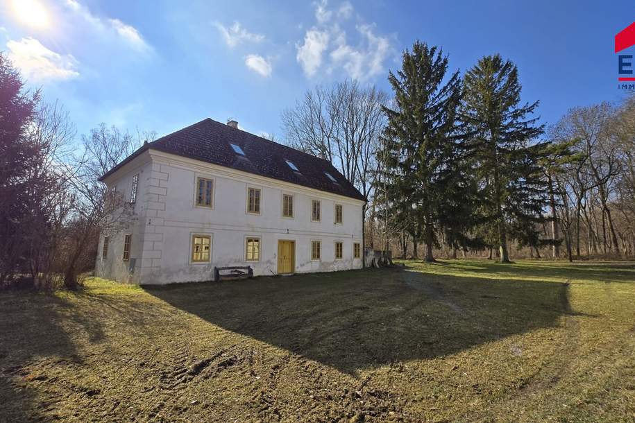 Rannersdorf KAUF - Beeindruckendes Herrenhaus/Mühle auf imposanten Areal eventuell Pferdeoase, Haus-kauf, 499.000,€, 2184 Gänserndorf
