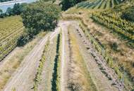 WEINGARTEN IN AUSSICHTSLAGE IM WEINBAUGEBIET WACHAU - WEINGARTEN, LANDWIRTSCHAFTLICHE FLÄCHEN - GRUNDSTÜCK IN DER WACHAU - KEIN BAUGRUNDSTÜCK!