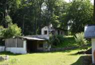 LANDHAUS MIT GROSSEM, SONNIGEN GRUND AM WALDRAND