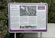 EIN NEUES GLÜCKLICHES KAPITEL FÜR DAS EHEMALIGE BAUERNHAUS AUS FAMILIENBESITZ