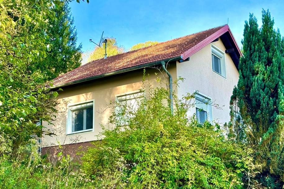 Renovierungsobjekt mit Potenzial: Haus mit großzügigen Grundstück in Bad Blumau, Haus-kauf, 169.000,€, 8283 Hartberg-Fürstenfeld