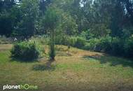 Zwei Kleingartengrundstücke in Hainburg an der Donau