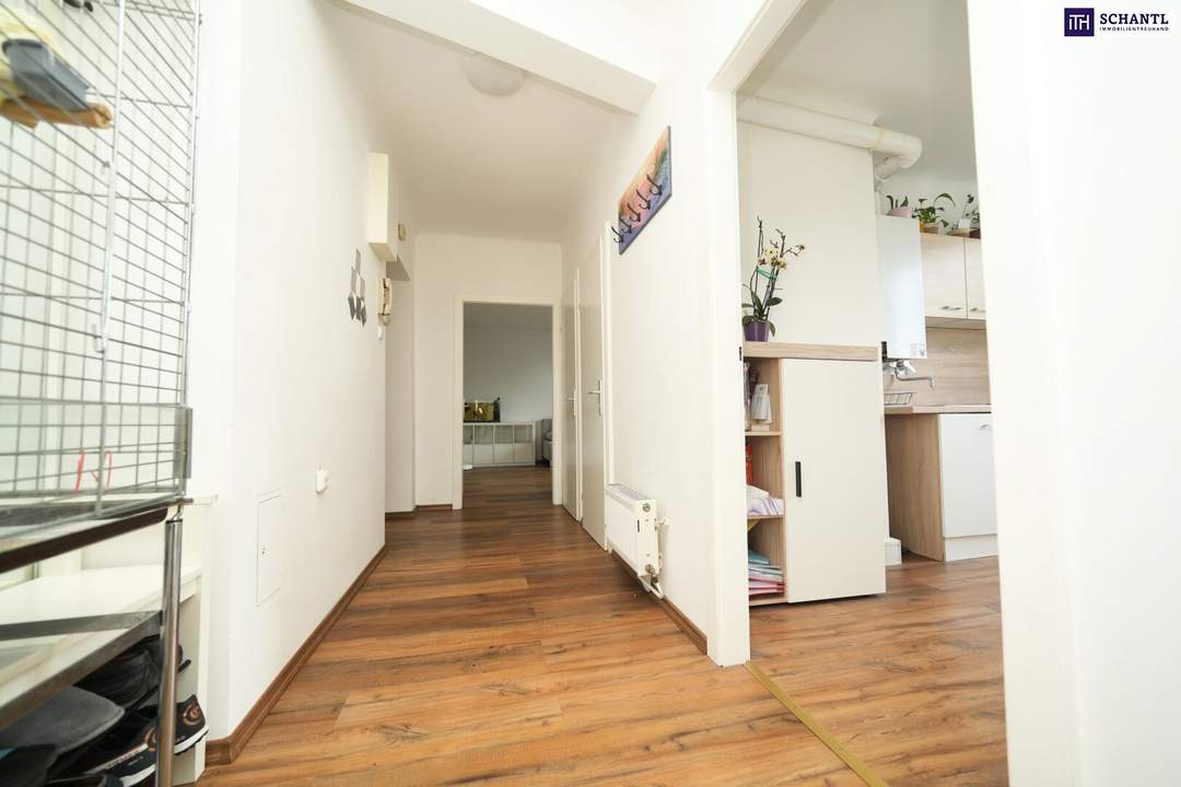 SENSATIONELL! PERFEKTER ZUSTAND! Ertragsstarke Immobilie in Wien: Vermietete 55m²-Wohnung – Kein Sanierungsbedarf & hohe Nachfrage