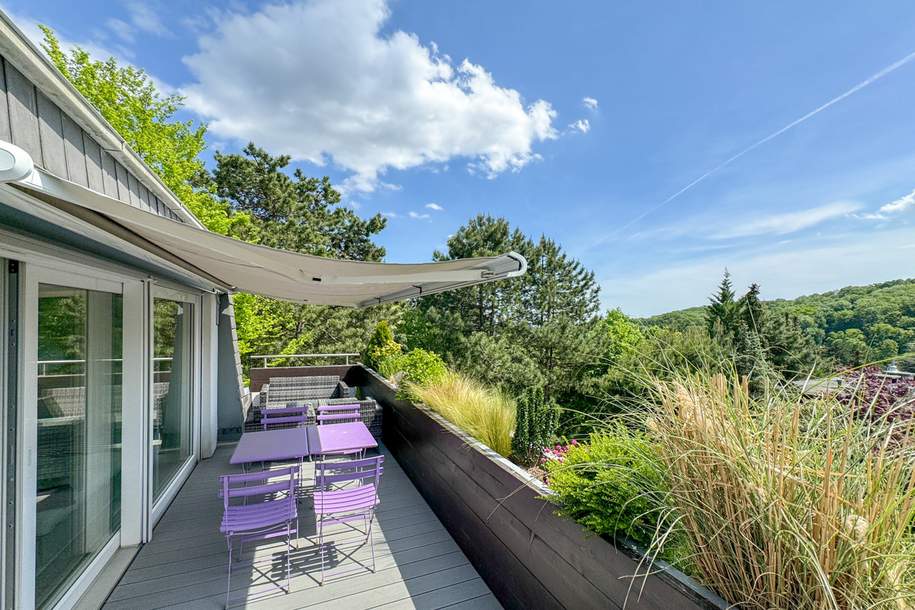 Fantastische 3-Zimmer Wohnung mit Panorama-Blick in den Pötzleinsdorfer Schloßpark, Wohnung-kauf, 1.650.000,€, 1180 Wien 18., Währing